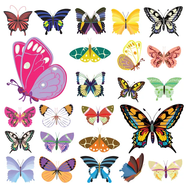 Set of butterflies — Stock Vector