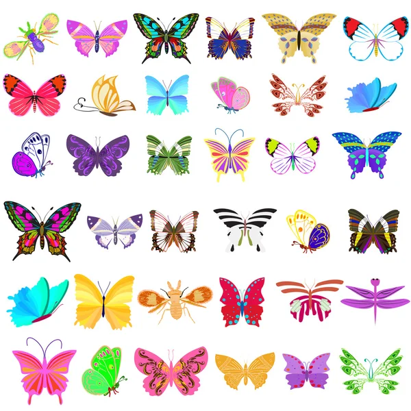 Set of butterflies — Stock Vector