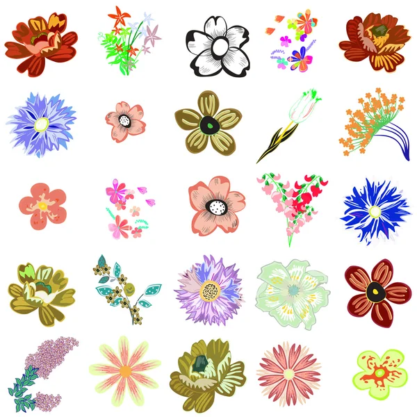 Set of creative flowers — Stock Vector