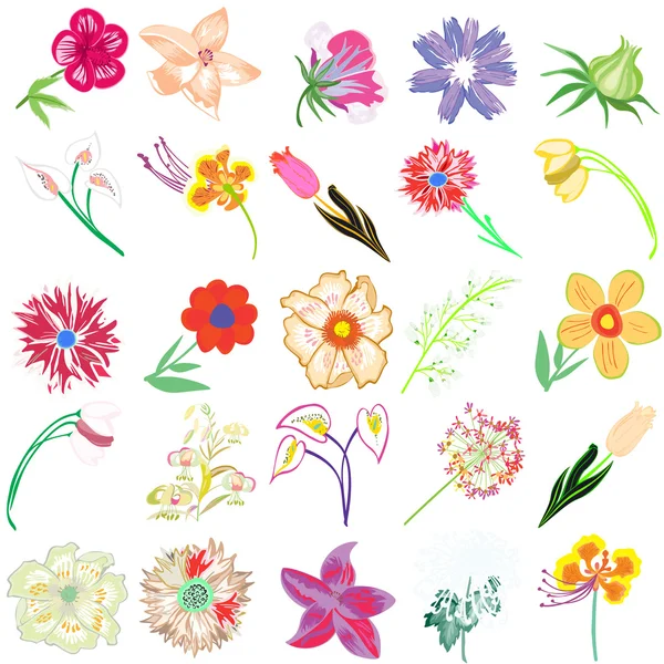 Set of creative flowers — Stock Vector