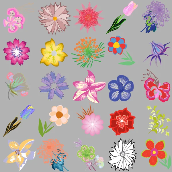 Set of creative flowers — Stock Vector