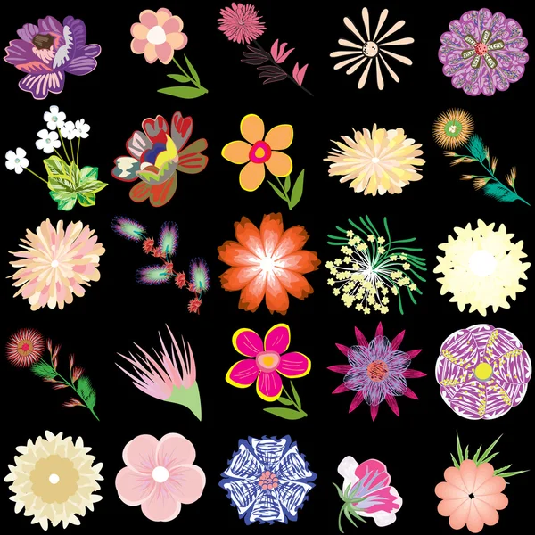 Set of creative flowers — Stock Vector