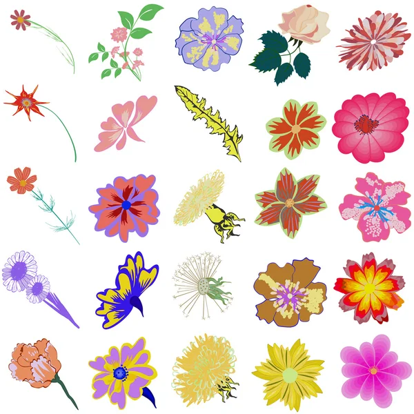 Set of creative flowers — Stock Vector