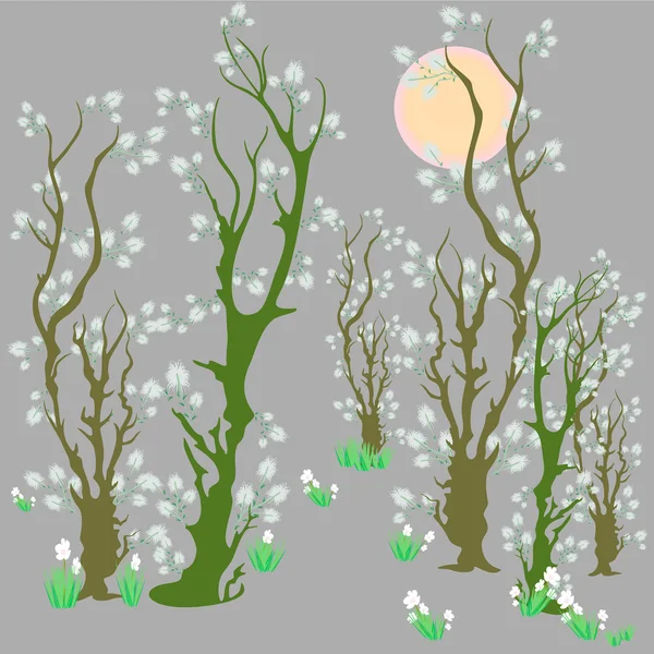 Spring — Stock Vector