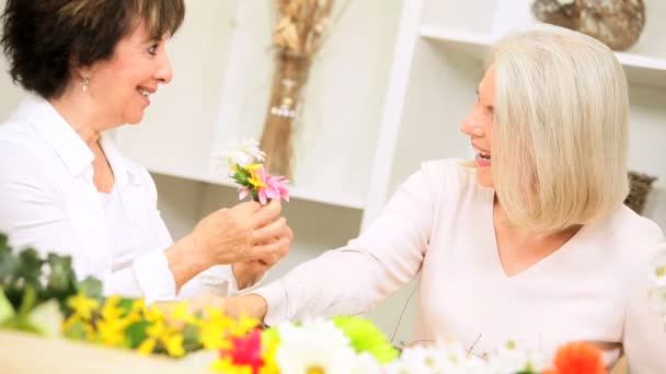 Jubilación Ocio Flor Arreglar — Vídeos de Stock