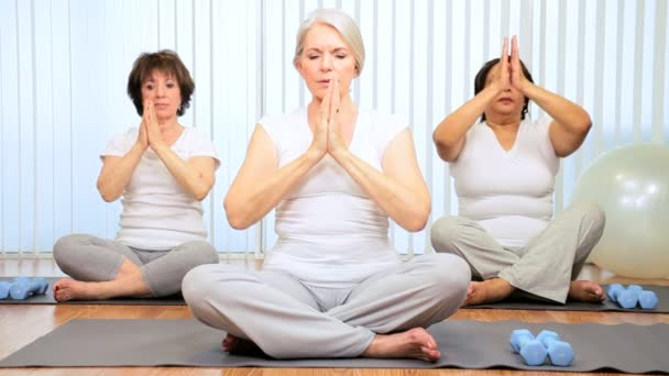 Класс йоги для старших леди — стоковое видео