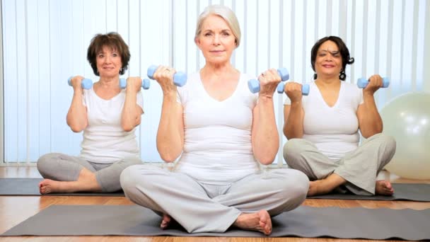 Caucasian Senior Females Using Weights Health Club — Stock Video