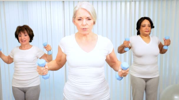 Groupe de yoga de poids de levage de femmes âgées — Video