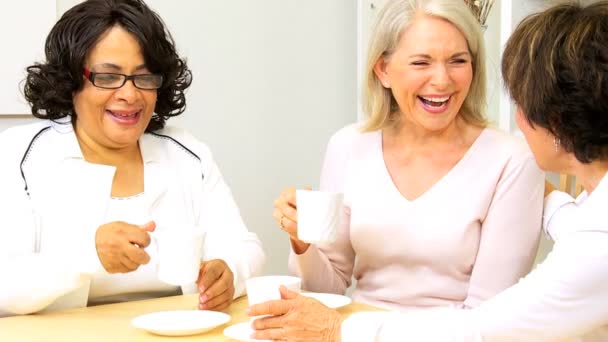 Multi-etnische schakelde vriendinnen koffie samen — Stockvideo