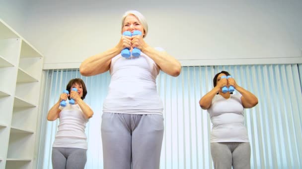 Äldre damer muskel toning lyfta vikter — Stockvideo