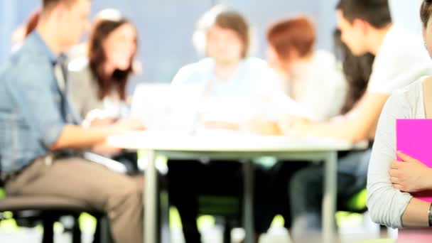 Porträt einer Frau mit unterschiedlichen Studenten in einem Bildungsvortrag — Stockvideo