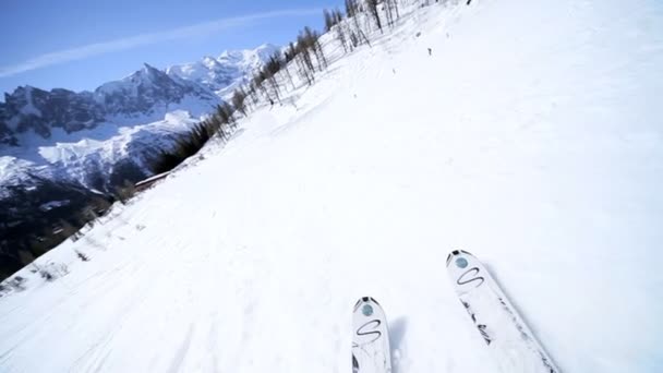 Downhill Skiën — Stockvideo
