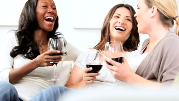 Multi ethnic girlfriends chilling with glasses of red wine — Stock Video