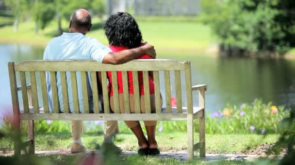 Amante casal étnico planejamento futuro na vista lago banco — Vídeo de Stock