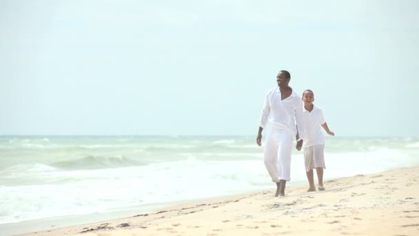 Fils ethnique avec père marchant plage de sable fin — Video