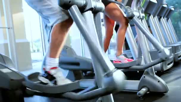 Membres de gymnase travaillant sur — Video