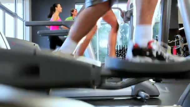 Gym Members Keeping Fit — Stock Video