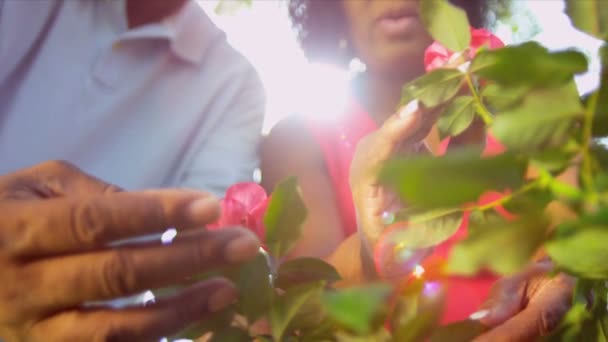 族裔对退休的夫妇工作花园 — 图库视频影像