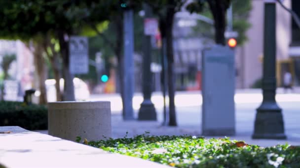 Mujeres hablando de negocios — Vídeos de Stock