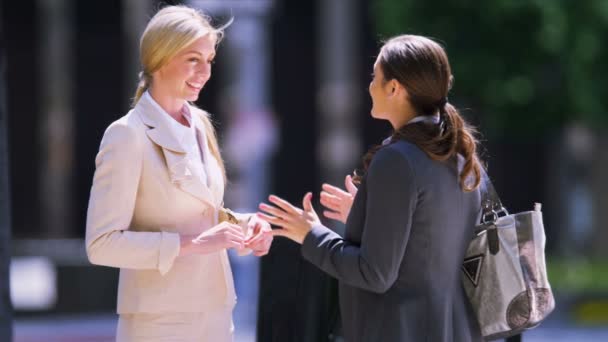 Mulheres falando de negócios — Vídeo de Stock