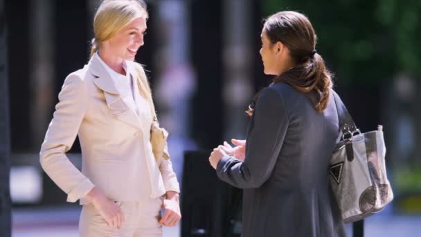 Mujeres hablando de negocios — Vídeo de stock