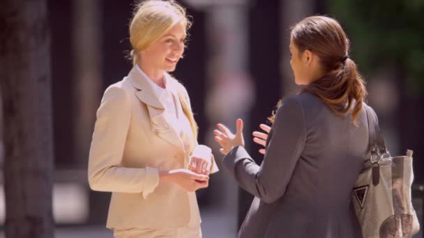 Femmes partageant des nouvelles d'affaires — Video