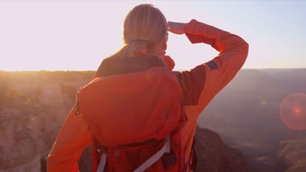 Mujer logrando sus ambiciones — Vídeo de stock