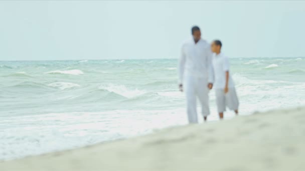 Divers père aimant parler fils en vacances par l'océan — Video