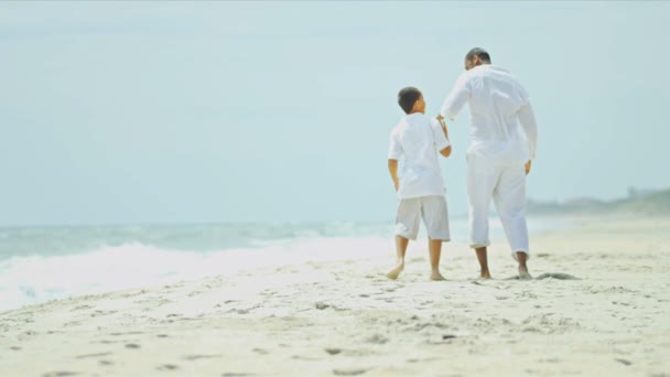 Étnico feliz padre disfrutando hijo tiempo por océano — Vídeos de Stock