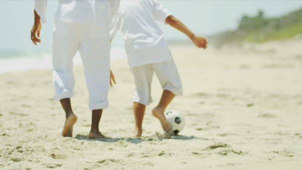 Diverso chico y padre cariñoso divertirse patadas pelota — Vídeos de Stock