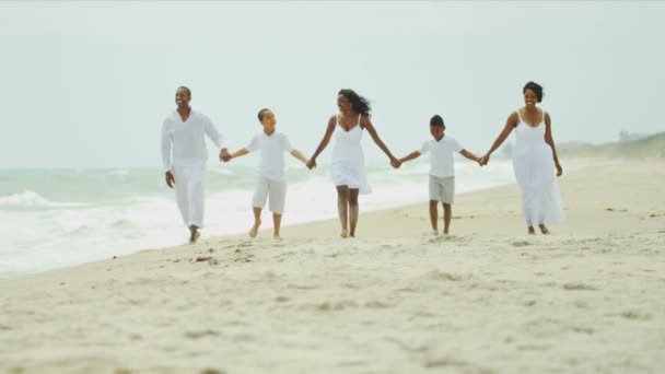 Happy ethnic family summer walking together by ocean — Stock Video