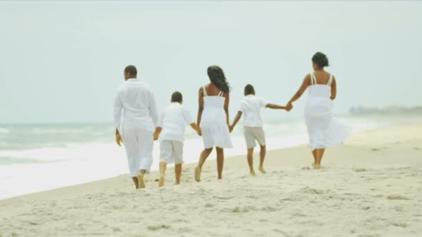 Hermanos étnicos y hermanas pasando tiempo con padres disfrutando de la playa — Vídeo de stock