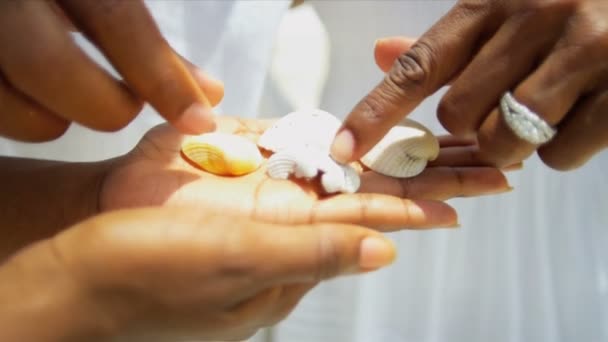 Gros plan de diverses mains féminines et masculines tenant des coquillages — Video