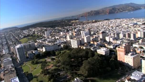 Vista aérea de arranha-céus e edifícios da cidade — Vídeo de Stock