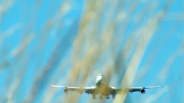 Sugárhajtású repülőgép leszállás a szórt füvek előtérben — Stock videók