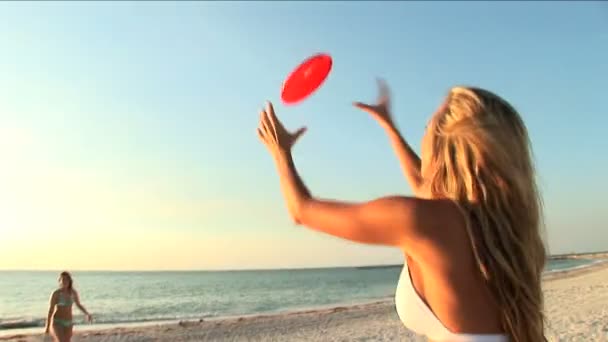 Schöne Mädchen, die Spaß am Strandleben haben — Stockvideo