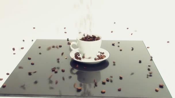 Chicchi di caffè versando in tazza di caffè bianco & piattino — Video Stock
