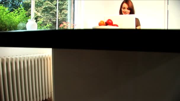 Eine schöne brünette Geschäftsfrau arbeitet von zu Hause aus — Stockvideo