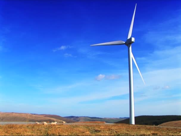 Parque eólico que produce energía en el medio ambiente — Vídeo de stock