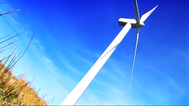 Power vindkraftpark producera energi i miljön — Stockvideo