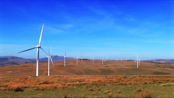 Wind power farm producing energy in the environment — Stock Video