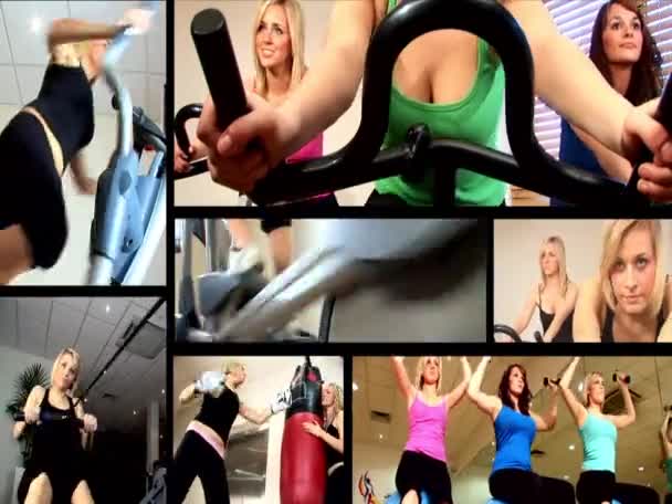 Collection de fille attrayante travaillant à la salle de gym — Video