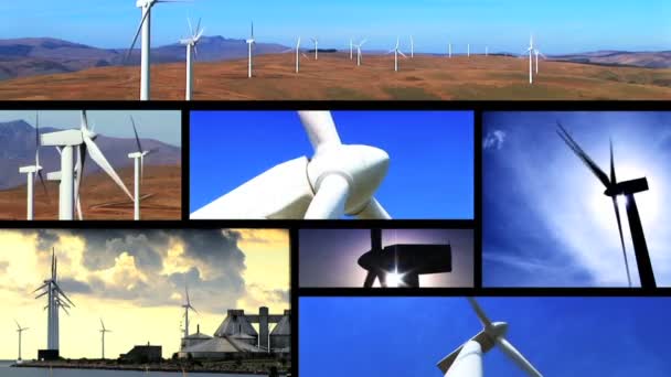 Collection of wind power farm producing energy in the environment — Stock Video