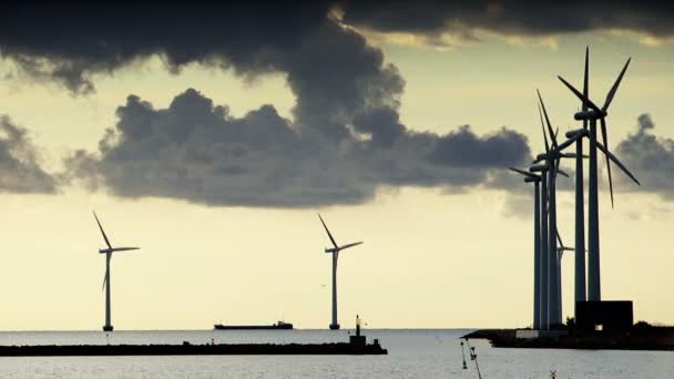 Multiple wind turbines on the coast of Denmark at dusk — Stock Video