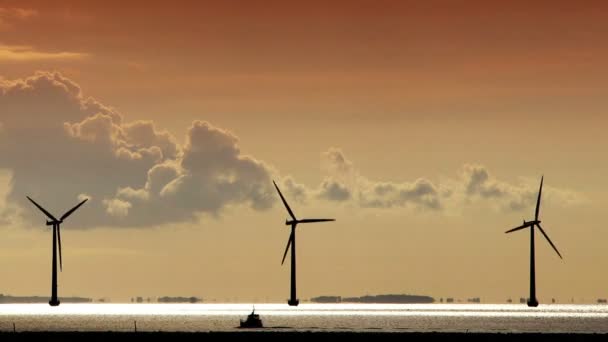 Múltiples aerogeneradores en la costa de Dinamarca al atardecer — Vídeos de Stock