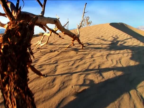 Landschaft im Tal des Todes — Stockvideo