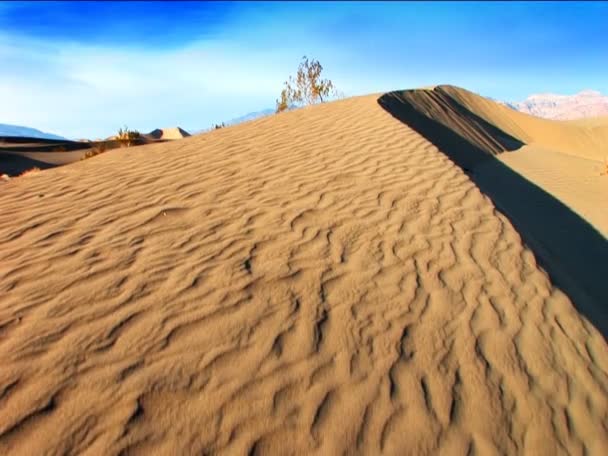 Características del paisaje de Death Valley — Vídeo de stock
