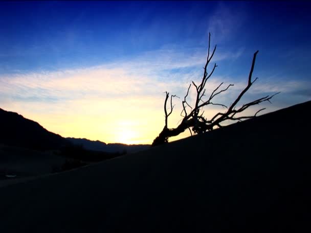 Lever de soleil sur le paysage de la vallée de la mort — Video