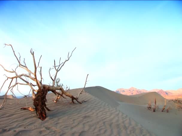 Tájképi jellemzők a Death Valley — Stock videók