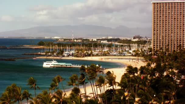 Marina piena di barche al largo della spiaggia di Waikiki — Video Stock
